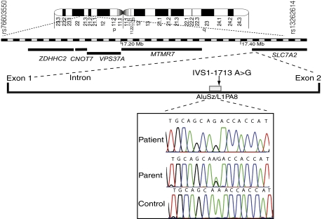 Fig. 2.