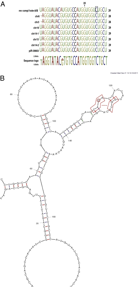 Fig. 5.