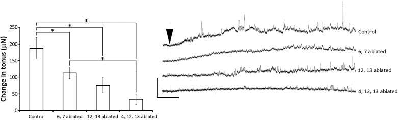 Fig. 7.