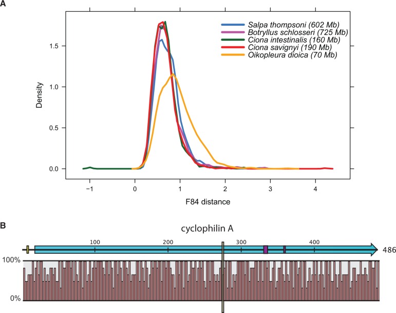 Fig. 3.—