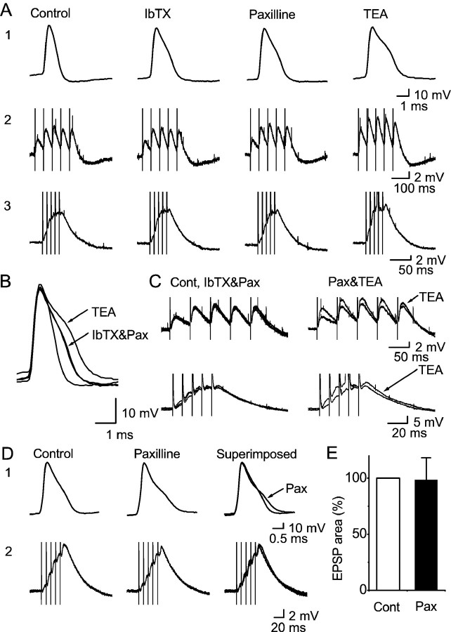 Fig. 9.