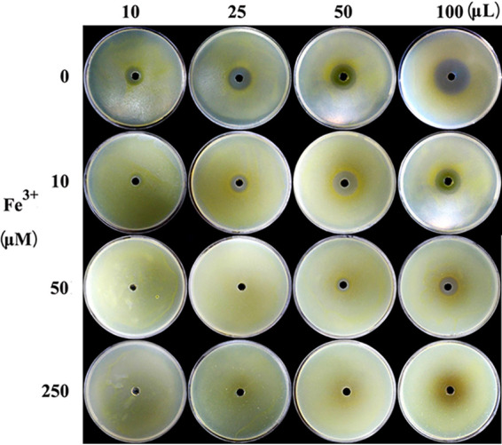 FIG 6