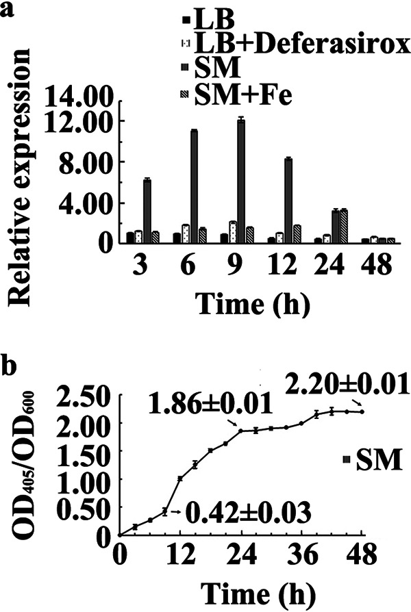 FIG 3