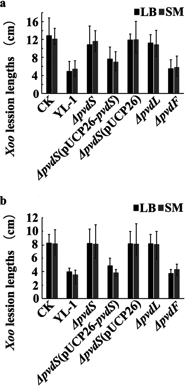 FIG 2