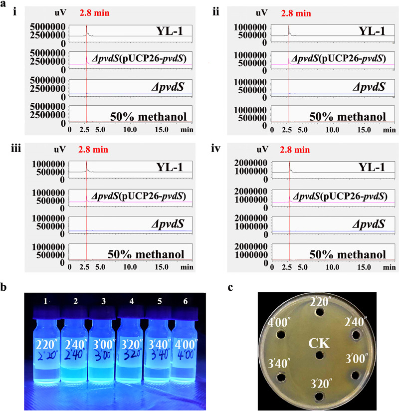 FIG 4