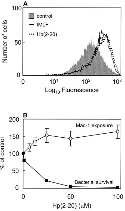 FIG. 1