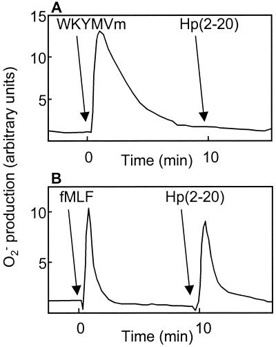 FIG. 5