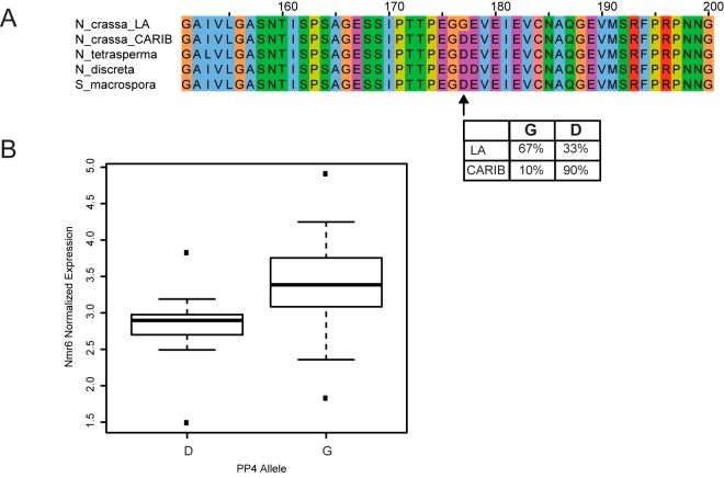 FIG 4 