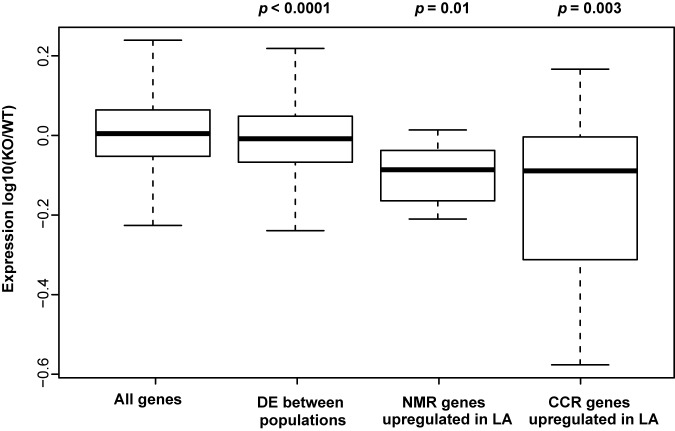 FIG 6 