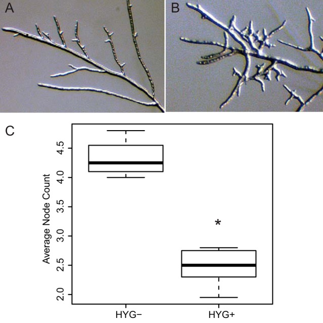 FIG 1 