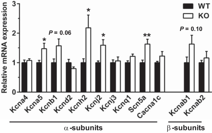 Fig. 6.