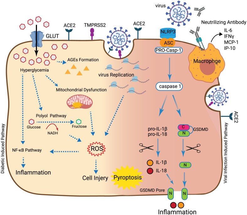 FIGURE 1