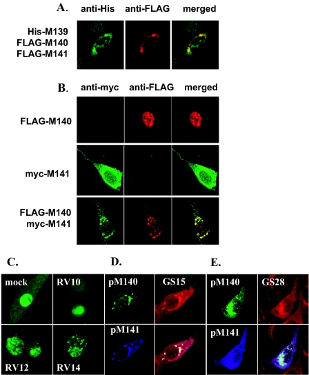 FIG. 8.