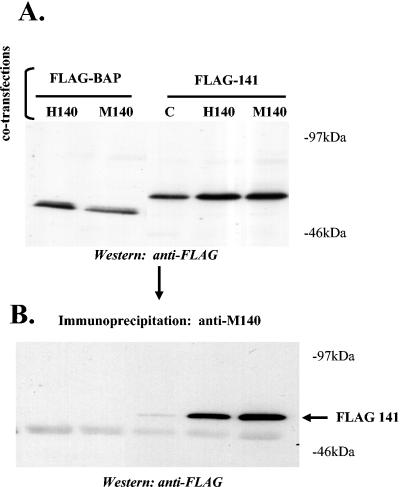 FIG. 5.