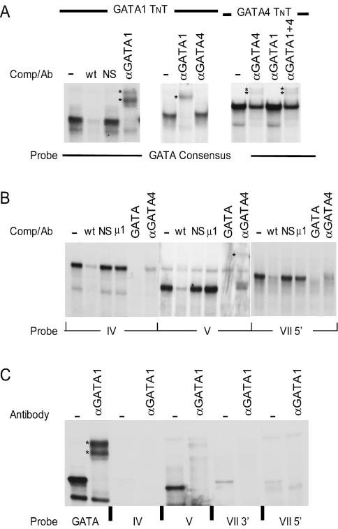 FIG. 7.