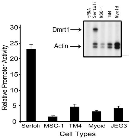 FIG. 1.