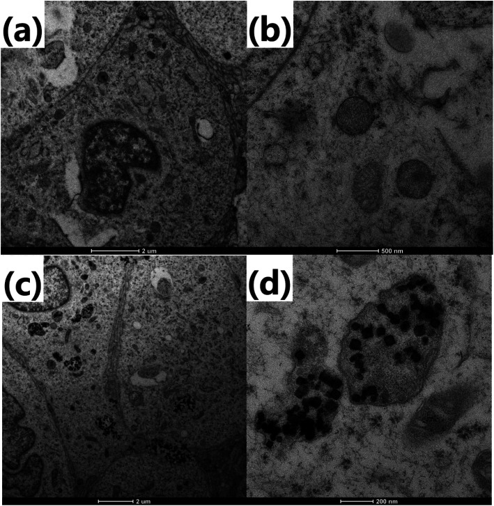 Fig. 8