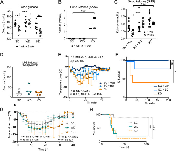 Figure 1—figure supplement 1.