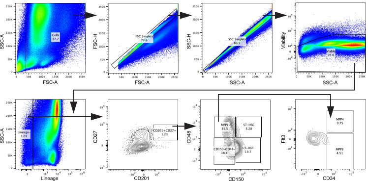 Figure 2—figure supplement 2.