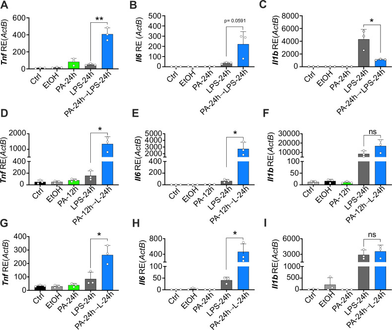 Figure 3—figure supplement 2.