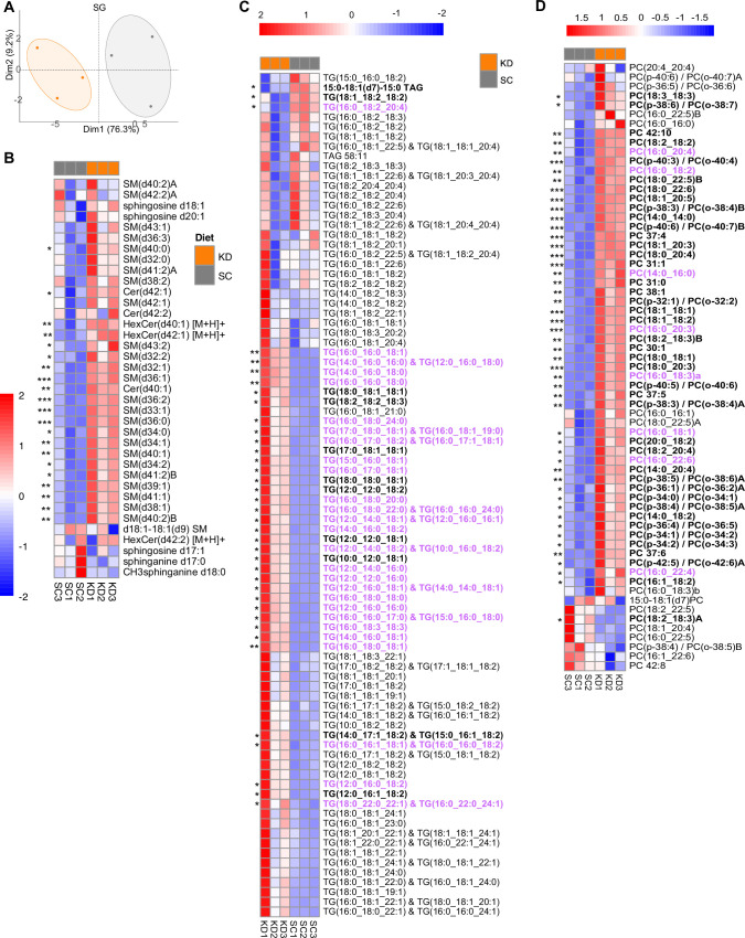 Figure 3—figure supplement 1.