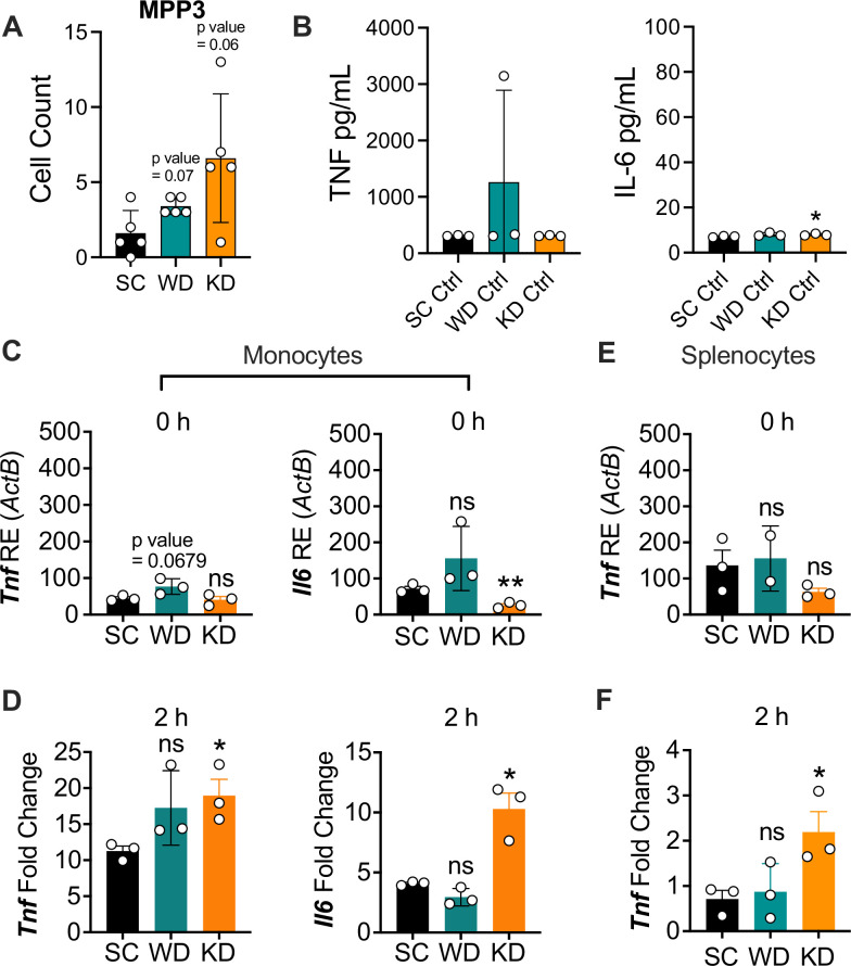 Figure 2—figure supplement 1.