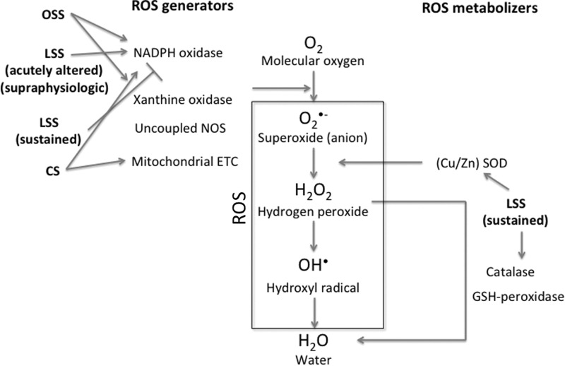 FIG. 1.