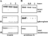 FIG. 9.