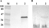 FIG. 5.