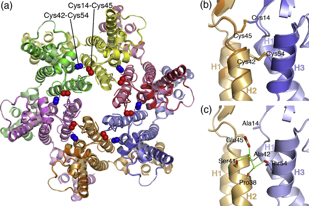 Figure 5