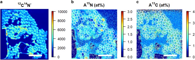 Fig. 2