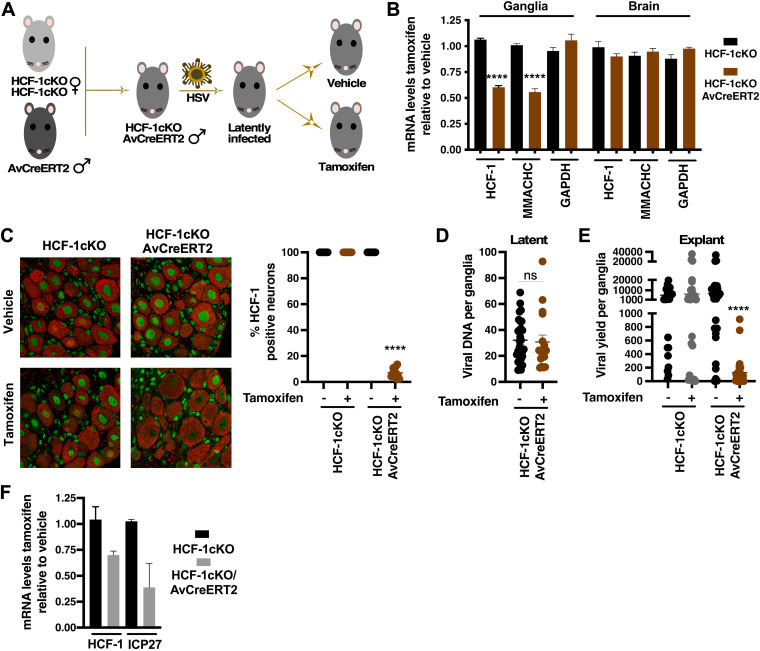 FIG 6