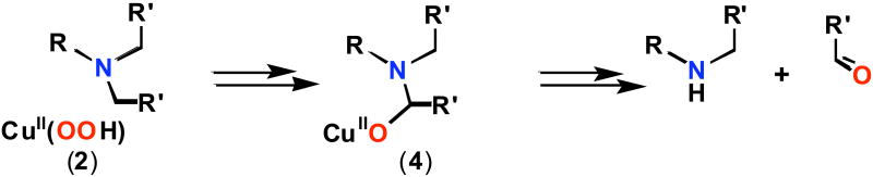 Scheme 3