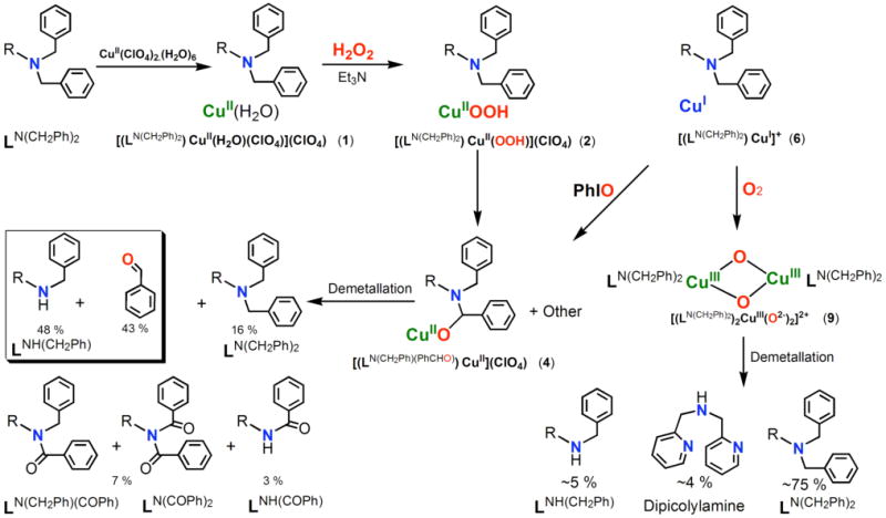 Scheme 2