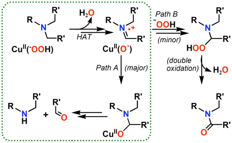 Scheme 5