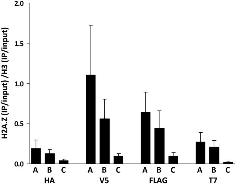 Figure 5