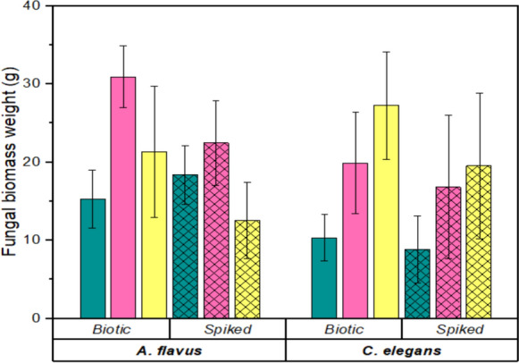 Fig. 3