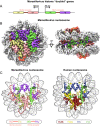 Fig. 2