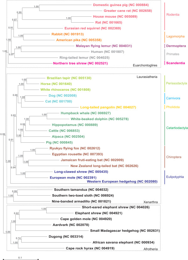 Figure 2