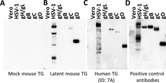 FIG 2 