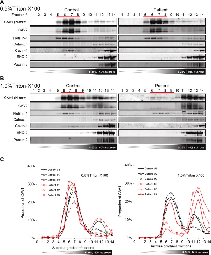 FIGURE 10: