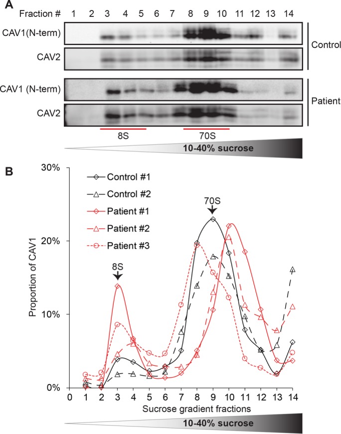 FIGURE 9: