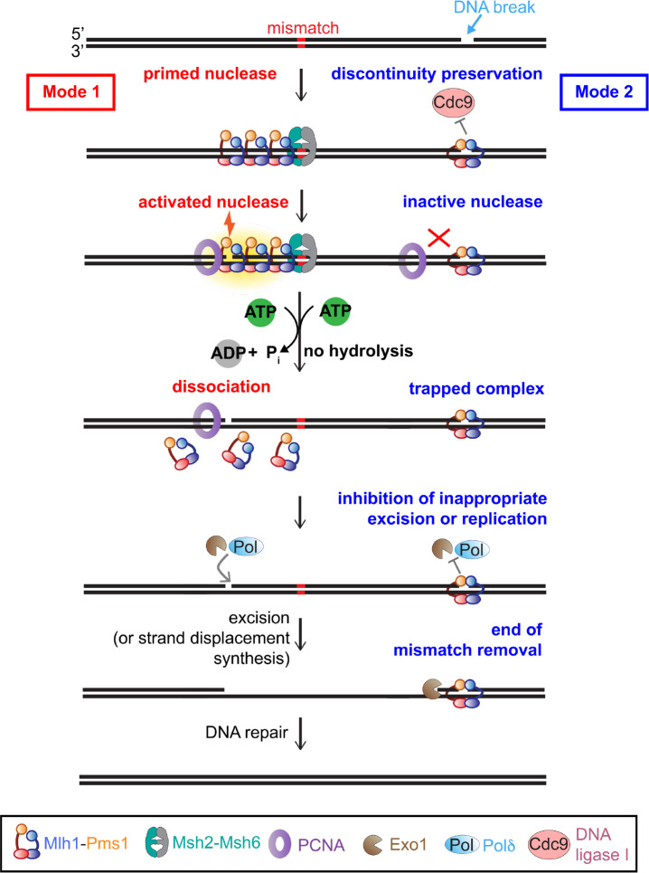 Figure 6.