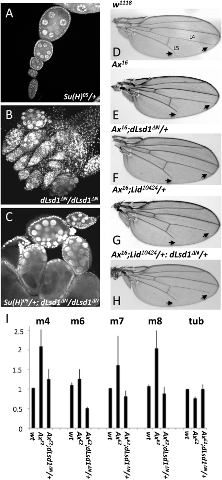 Figure 7.