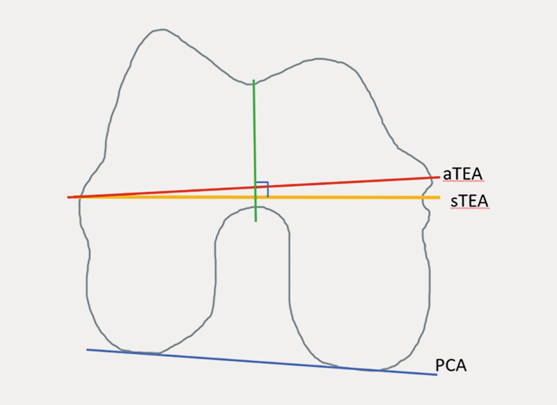 Fig. 2