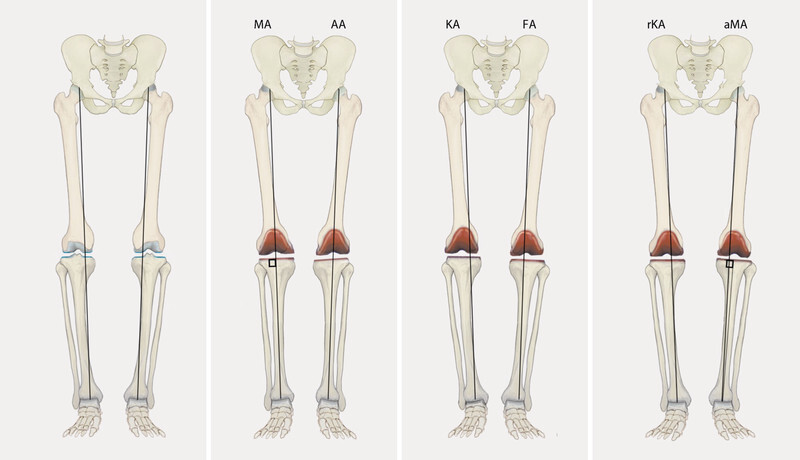 Fig. 4