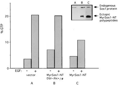 FIG. 8