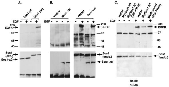 FIG. 9