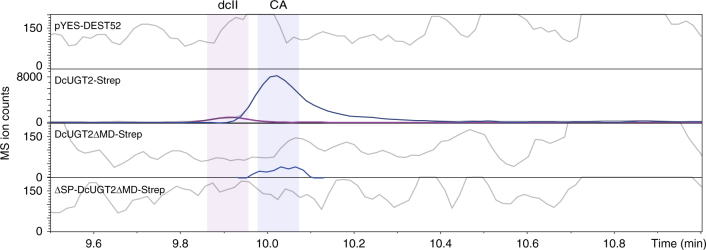 Fig. 10