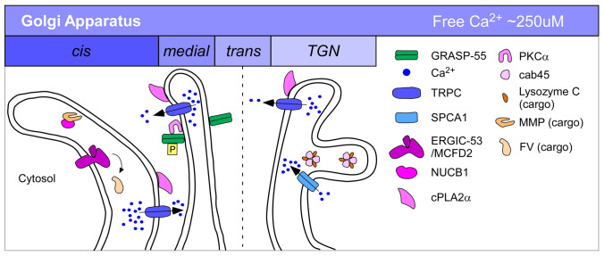 Figure 3. 